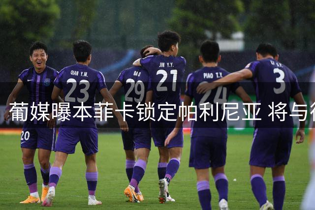 葡媒曝本菲卡锁定帕利尼亚 将与德甲英超豪门展开争夺